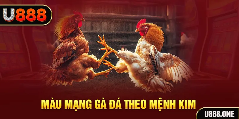b52 game gà chọi tiêu phong