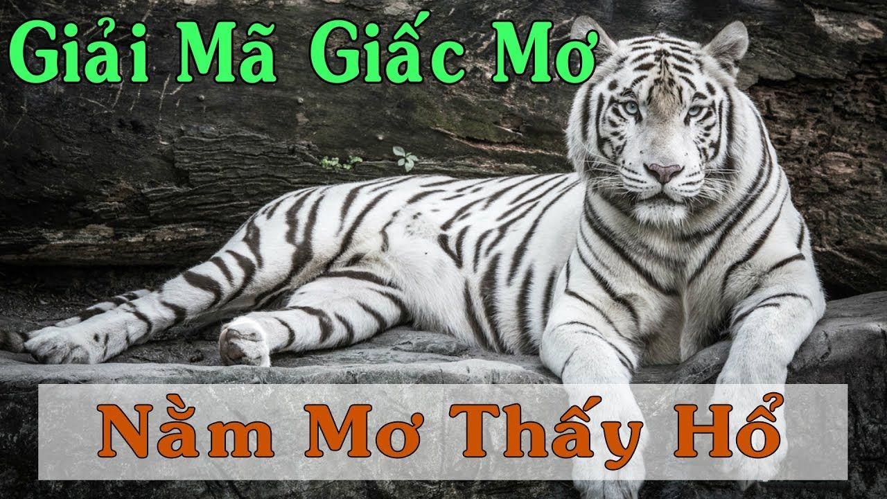 b52 game xổ số miền trung