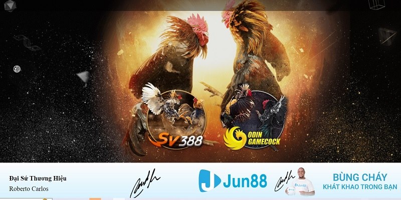 b52 game xổ số miền nam hàng tuần