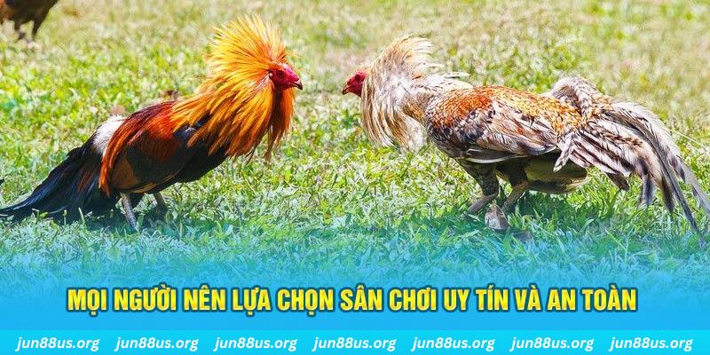 b52 game hơn cả bạn bè