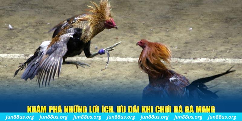 b52 game Tài Xỉu 2