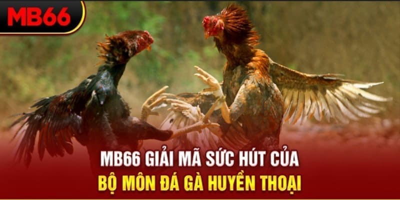 b52 game long bảo trong baccarat là gì
