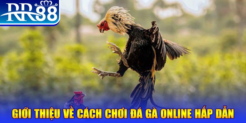 b52 game nổ hũ 2 mặt là gì