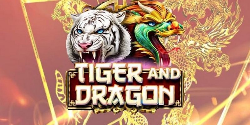 b52 game cá cược tiếng anh là gì