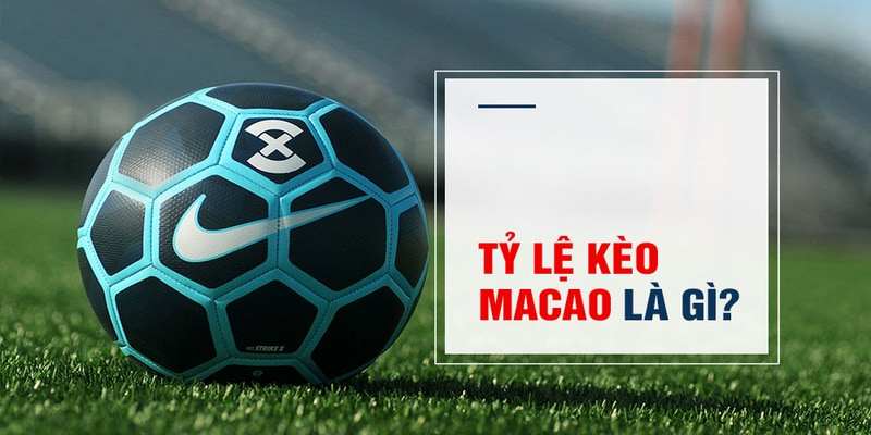 b52 game Trăm Knorr
